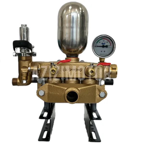 LS-50-2.webp پمپ سمپاش لوشانگ LS-50 - Image 1